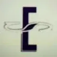 Shine E Industries Ltd. Logo.